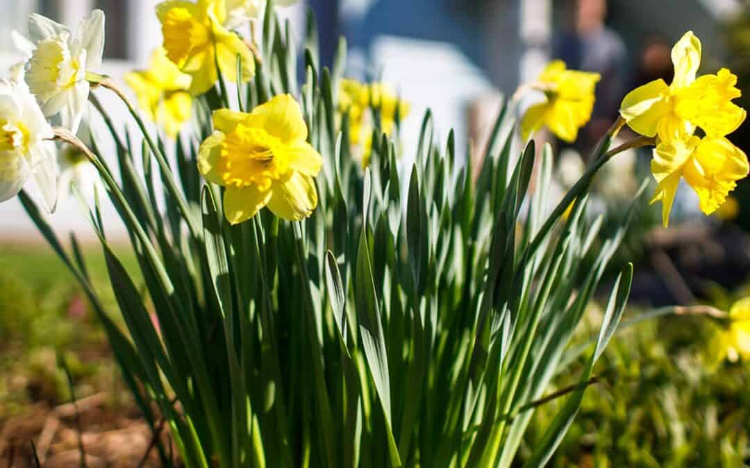 Is Spring the Right Time to Buy a Home in Vermont?