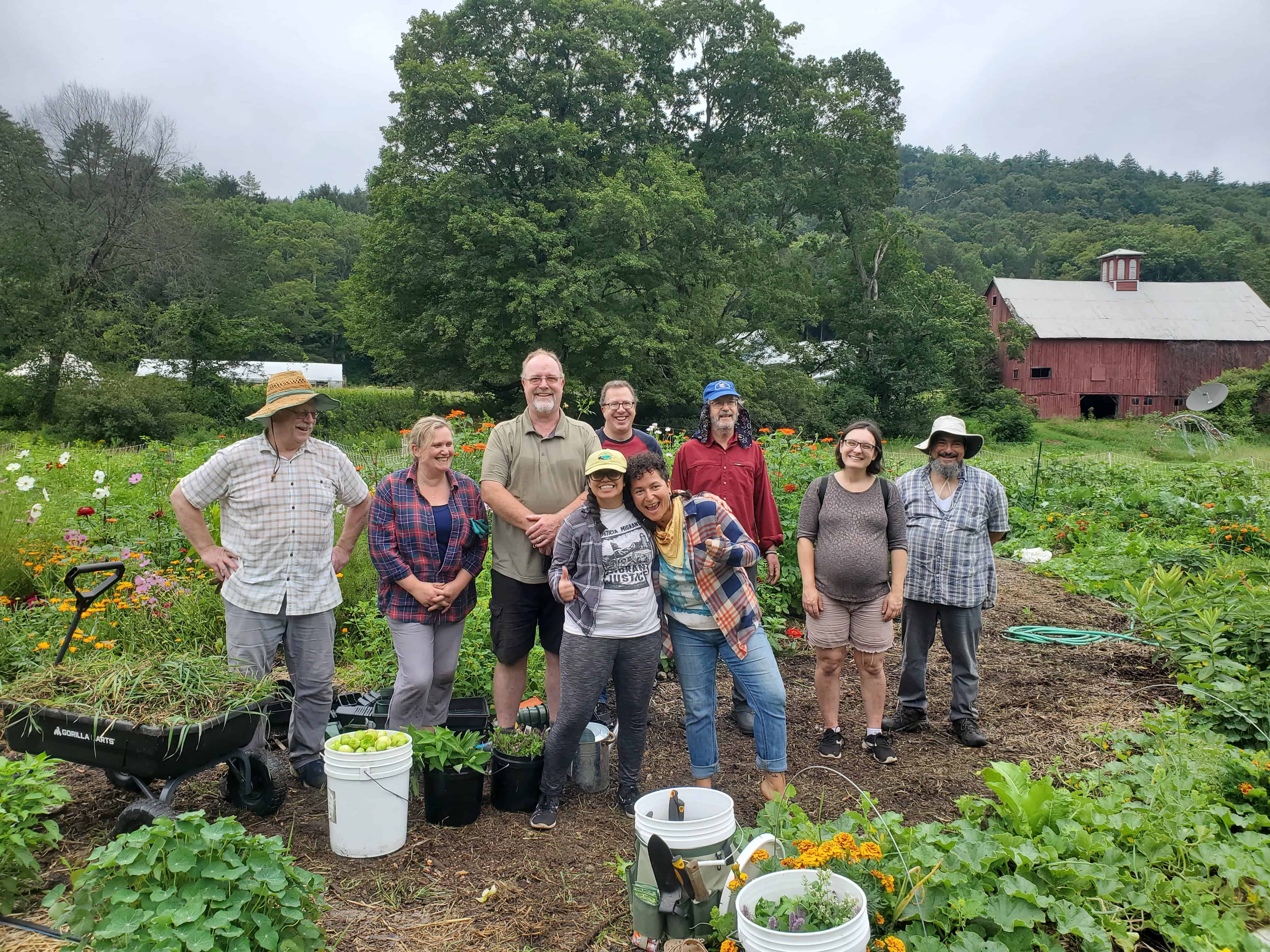 Homeownership Staff Volunteers at SUSU Community Farm
