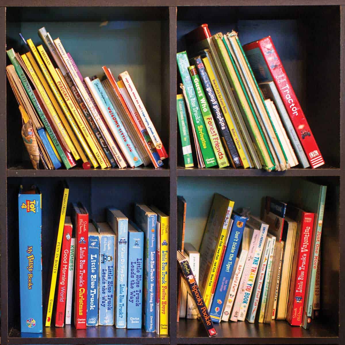 Bookshelf