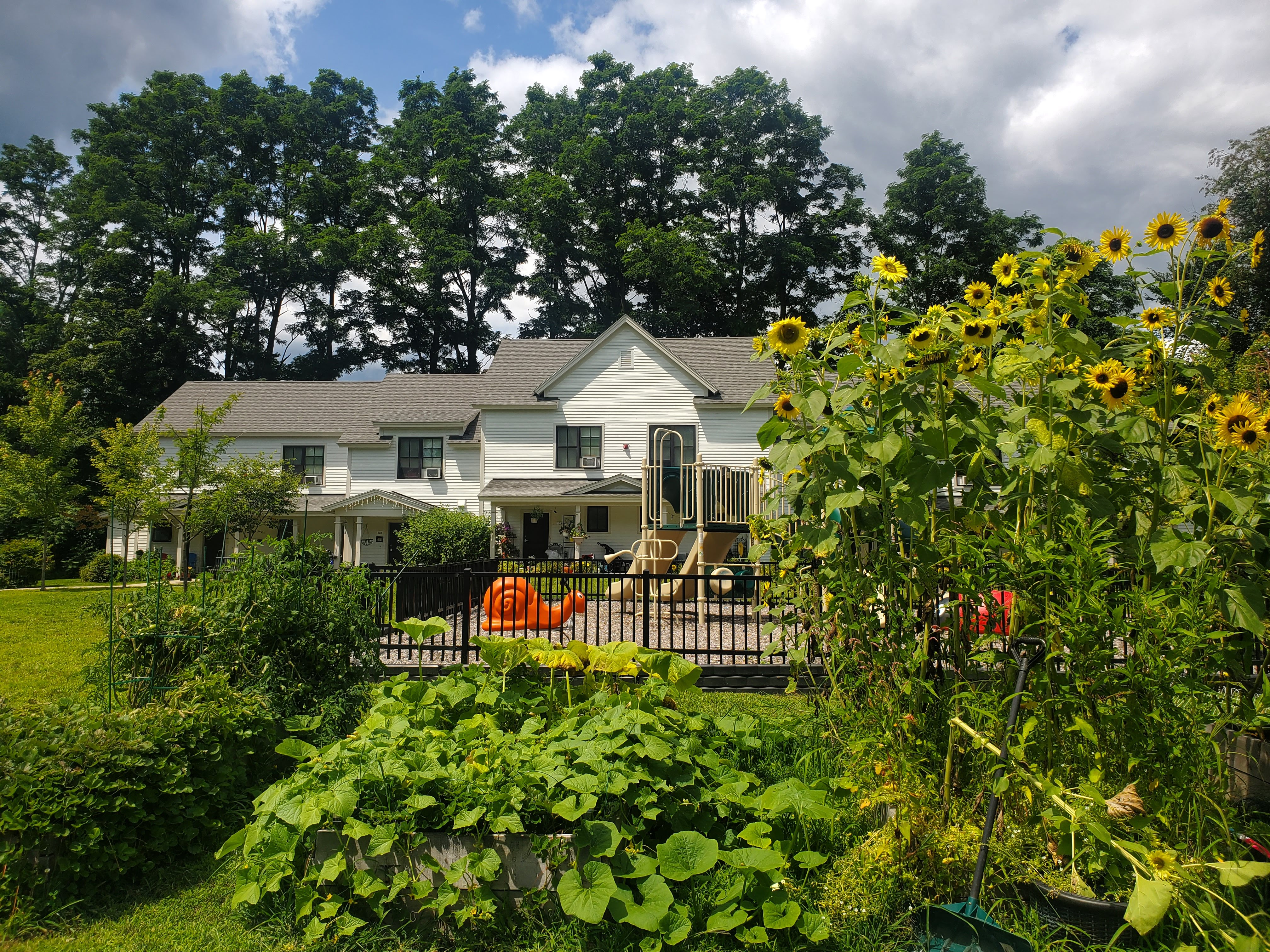 23 Neumann Lane, Putney, Vermont 05346, 0 , 0 ,0,Apartment,For Rent,Putney Landing Apartments,Neumann Lane,0,1067